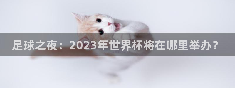 足球杯:足球之夜:2023年世界杯将在哪里举办?