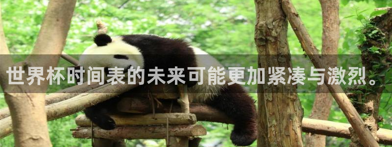世界杯球队排名:世界杯时间表的未来可能更加紧凑与激烈。