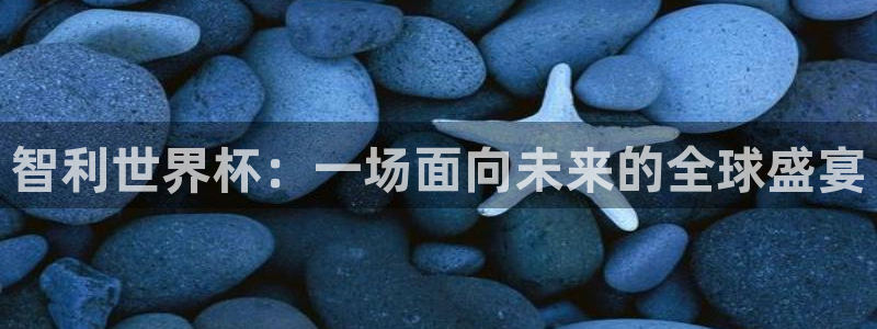 2026世界杯官网:智利世界杯:一场面向未来的全球盛宴