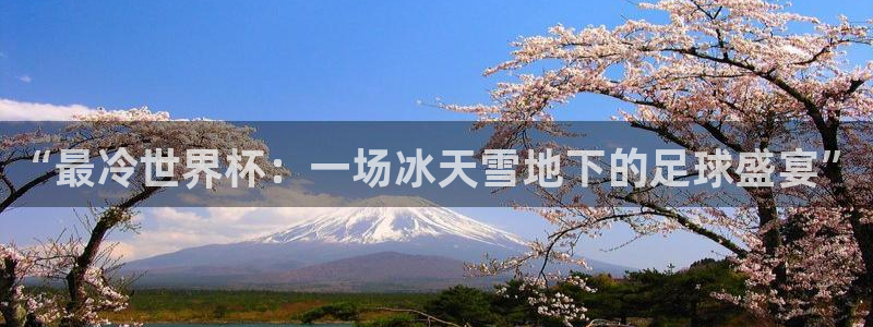 2026世界杯官网入口:“最冷世界杯:一场冰天雪地下的足球盛宴”