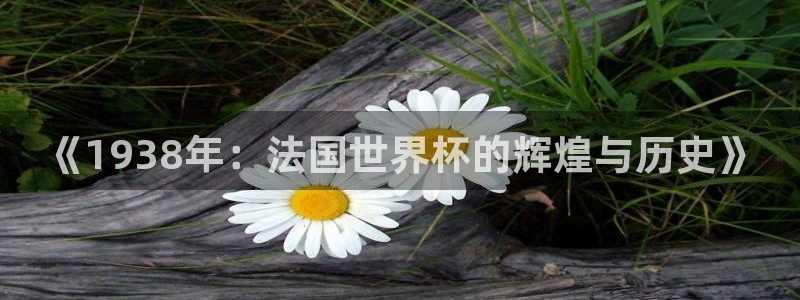 世界杯直播网:《1938年:法国世界杯的辉煌与历史》
