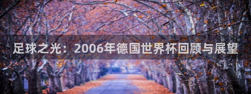 免费足球比赛直播高清:足球之光:2006年德国世界杯回顾与展望
